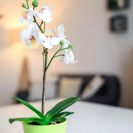 Apartmán Le Duc De *