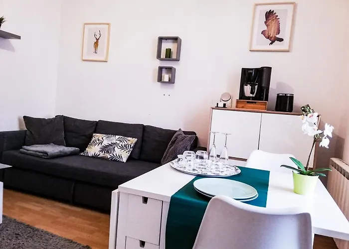 Apartman Le Duc De Vichy