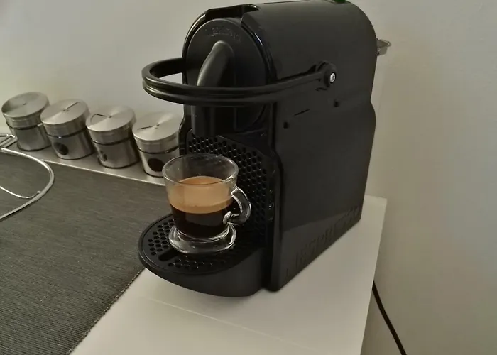 Le Duc De Lejlighed Vichy