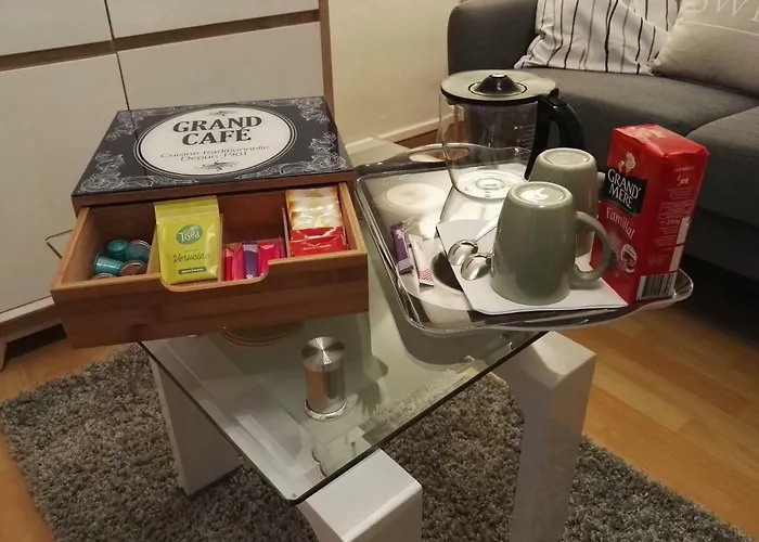 Lejlighed Le Duc De Vichy